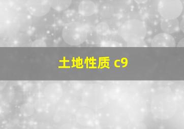 土地性质 c9